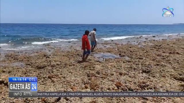 RTTL,EP - GAZETA ÀS 24 || 03-11-2023 (LIVE STREAM) смотреть онлайн