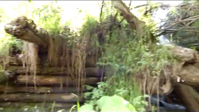 Гремячий ключ. Красноярск. Остатки дореволюционного моста. смотреть онлайн