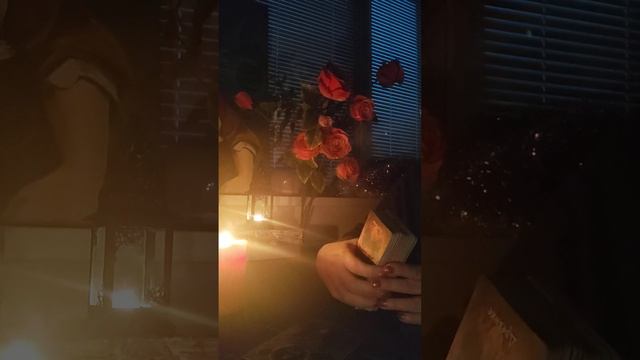 Социальная жизнь и общество