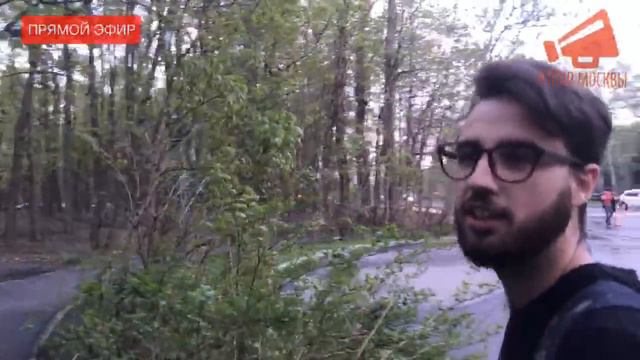 Рубка деревьев возле «МГУ» / LIVE 04.05.18 смотреть онлайн