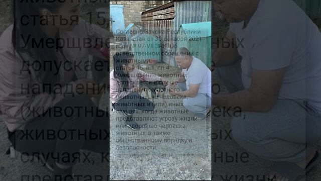 собака укусила девочку в Атырау смотреть онлайн