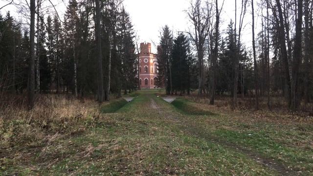 Свет Пушкина | как снимать | пейзажная фотография | влог с @foveonyc смотреть онлайн