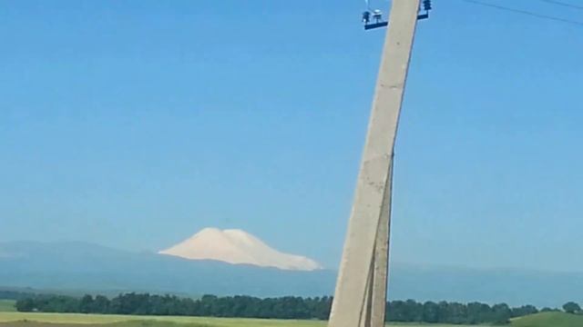 Лучше гор могут быть только горы! смотреть онлайн