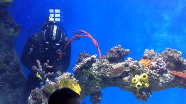 Как почистить совсем 