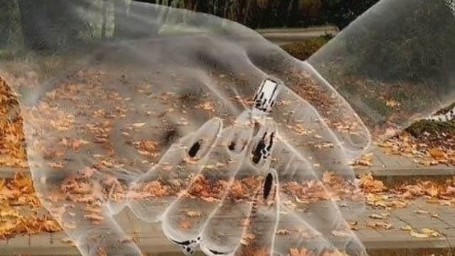 Аниме Слайд-шоу представляет. Зачем? Простите что под песню немножко не совпадает! смотреть онлайн