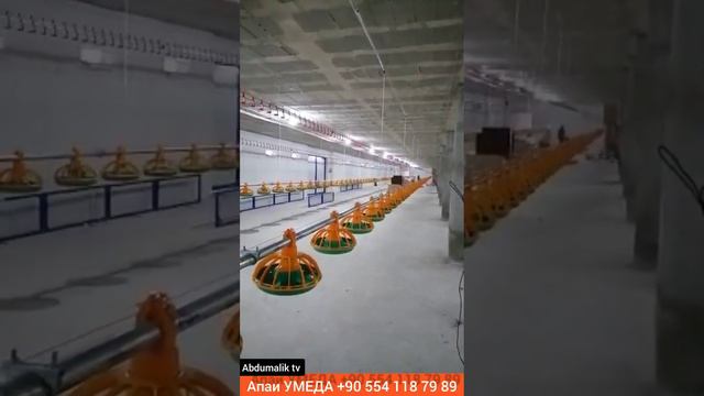 Бизнеси Мурги Бройлер номерош +90 554 118 79 89 смотреть онлайн