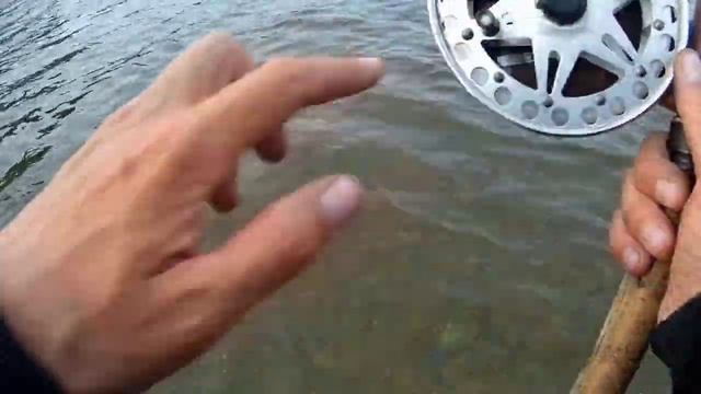 Снова загнул спиннинг ☝. Ловля тайменя на спиннинг на реке Бия. смотреть онлайн