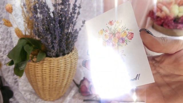 Овечка Милочка собирается домой смотреть онлайн