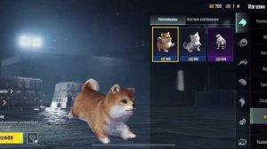 Как бесплатно получить крутые эмоции в пабге