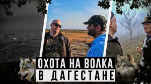 Новая охота на волка в Дагестане. Загадочное захоронение  древних людей. Выстрел по волку на 150 м.