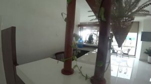 Нячанг Вьетнам Отель Бонжур Bonjour Обзор