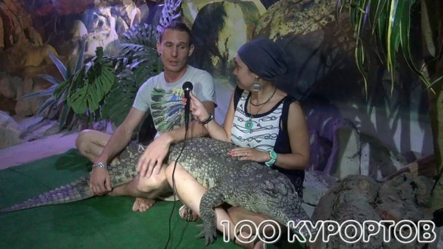 100 курортов - Экскурсия - Геленджик - Контактный зоопарк - Ролик №14 смотреть онлайн