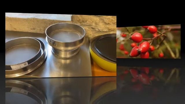 Moroboi Rosehip Rosa canina смотреть онлайн