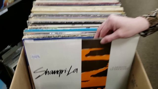 Finally just priced Vinyl Records in the New Store смотреть онлайн