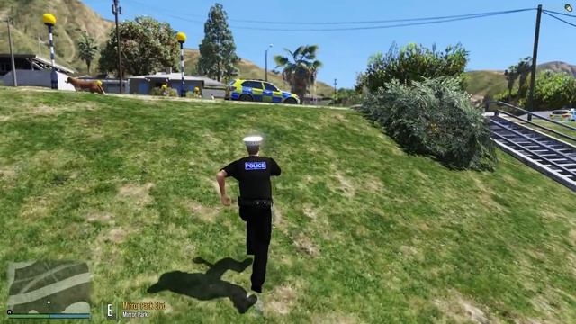GTA5 Roleplay (Police) - Acid Attack Moped Pursuit - Kent RPC смотреть онлайн