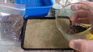 КАК ПОСАДИТЬ (ПОСЕЯТЬ) МИКРОЗЕЛЕНЬ НА АГРОВАТУ - БИЗНЕС НА МИКРОЗЕЛЕНИ - БИЗНЕС ИДЕИ 2022