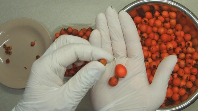 Фотография Городских Пейзажей