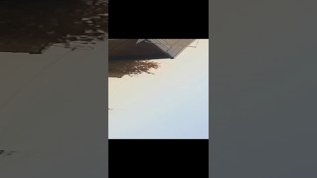 сад смотреть онлайн