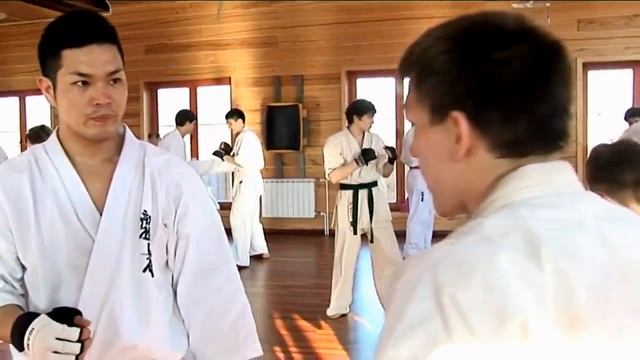 Dmitriy Moiseev - technique lightweight fighter (shinkyokushin karate) смотреть онлайн