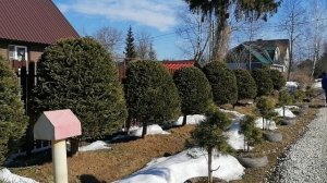 Очищаем канавы ливнёвки по традиции после таяния снега по всей улице. Дача. март 2024.