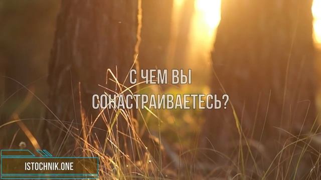 Что, если мое Близнецовое Пламя в браке с кем то еще? смотреть онлайн