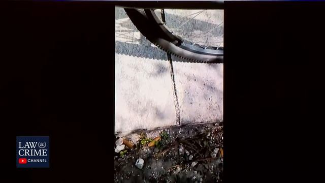 "With the Power of My AR, You Will All Know Who I Am," Parkland School Shooter Says Before Massacre смотреть онлайн