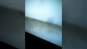 Если Не Горят Поворотники Или Один Горит На Мопеде Альфа И Атлант И Др  Причины