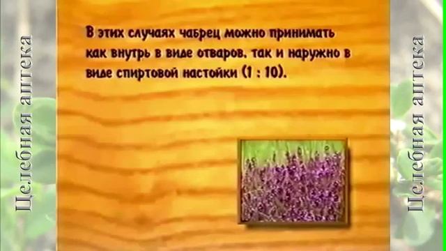 Чабрец смотреть онлайн