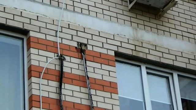 Скворец певчий гордской ) Гнездо скворца. смотреть онлайн