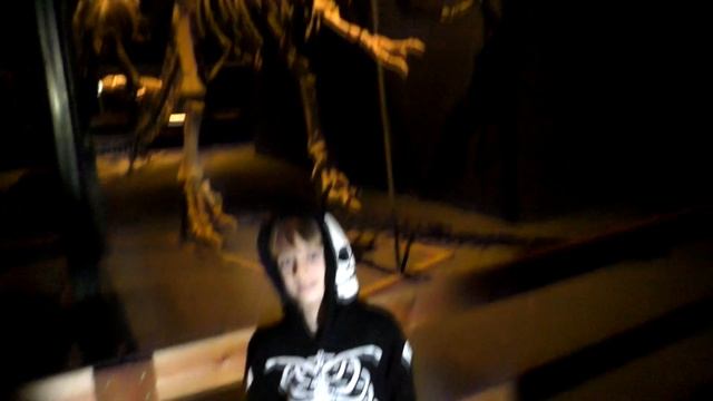 Динозавры Поход в музей Швеция смотреть онлайн