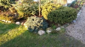 САД ПОСЛЕ ЗИМЫ. Обзор моего сада в начале мая