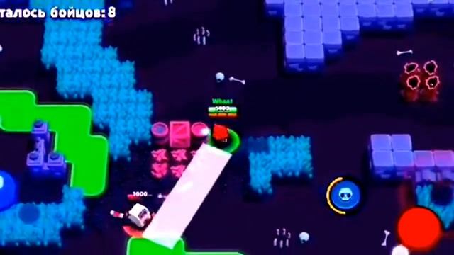 ИСТОРИЯ ЛЮБВИ ТАРОЧКИ И ХАЙМОЛТА|BRAWL STARS смотреть онлайн