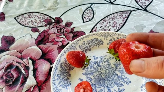 Сорта клубники Ания и Шарлотта смотреть онлайн