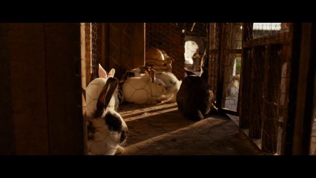 Лейба Бронштейн 3