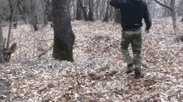 Едем в Койданский лес смотреть онлайн