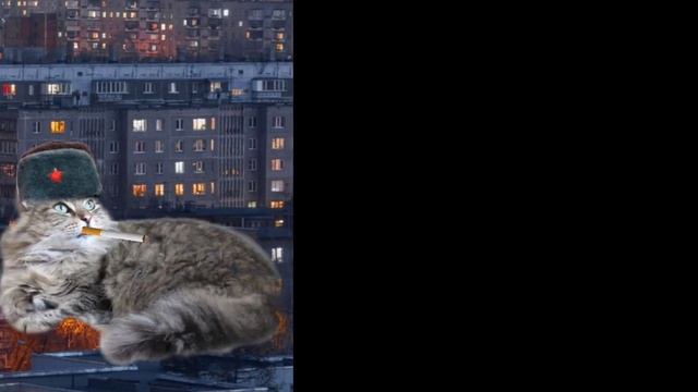 Думерские лица Сибирских кошек. (в традиционном стиле) смотреть онлайн