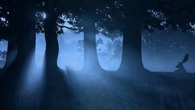 К. Д. Ушинский Рассказ "Леший" (читает воспитатель Демянко Т.В) смотреть онлайн