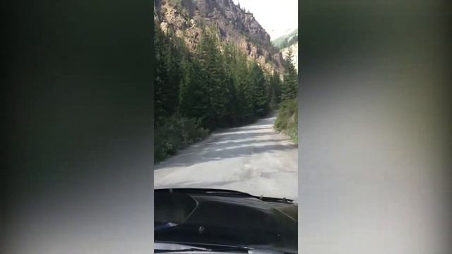 Дикий Алтай смотреть онлайн