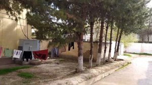 Прогулки по Карши 2022... 3 микрорайон