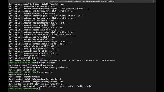 DevOps Tutorial : What is Maven and Its Configuration in Jenkins смотреть онлайн