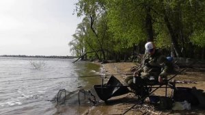 Ловля плотвы весной на Волге .