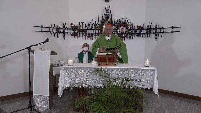 Misa de hoy domingo 16 de enero de 2022 con el cardenal Baltazar Porras смотреть онлайн