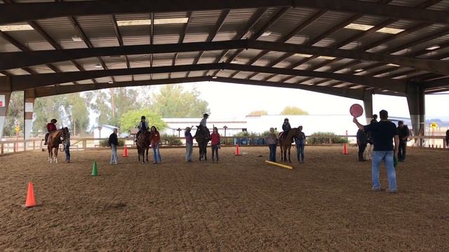 Horseback Riding Equine Therapy Game - Playing Red Light Green Light on Horses смотреть онлайн