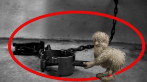 «Кандалы». Мистика/Аудио рассказ.