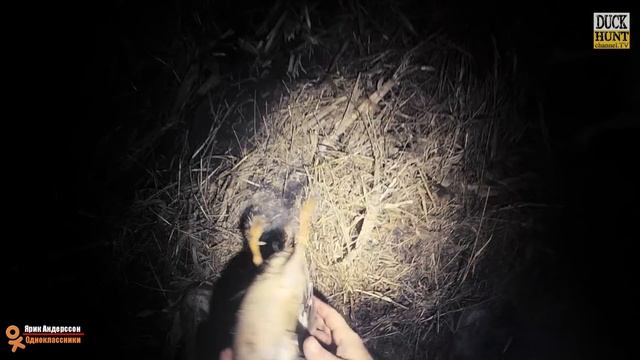 Охота на утку на полях.Вечерка.Декабрь.Как обработать утку? смотреть онлайн