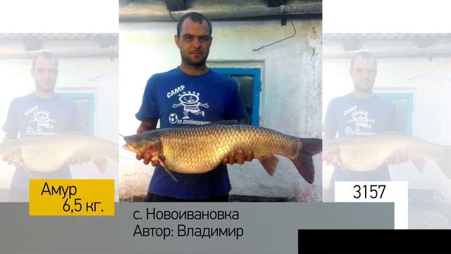 Фотоальбом - Рыбалка №631 смотреть онлайн