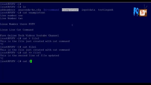 cat command | Concatenate files and print on the standard output смотреть онлайн