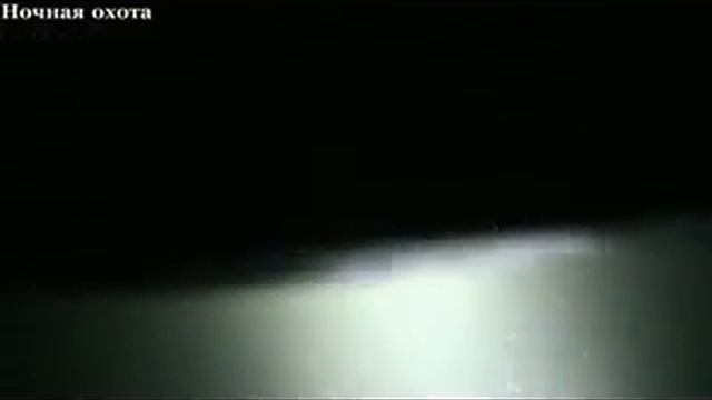 Ночная подводная охота в Астане 24 09 13 смотреть онлайн