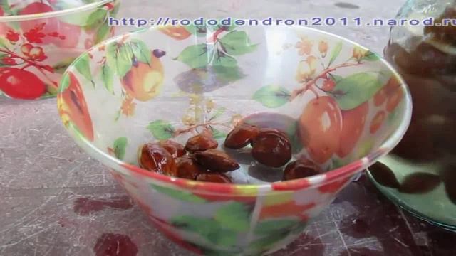 12 - Как я сею косточки абрикоса осенью смотреть онлайн