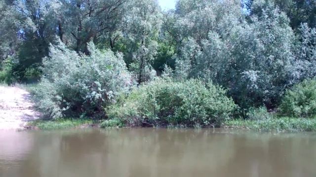 Песня Сергея Ларина «Созидай» смотреть онлайн